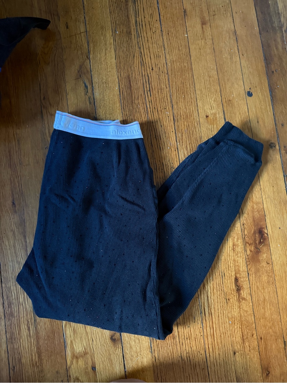 Alexander Wang Black Thermal Jogger Pants with Light Gray Waistband